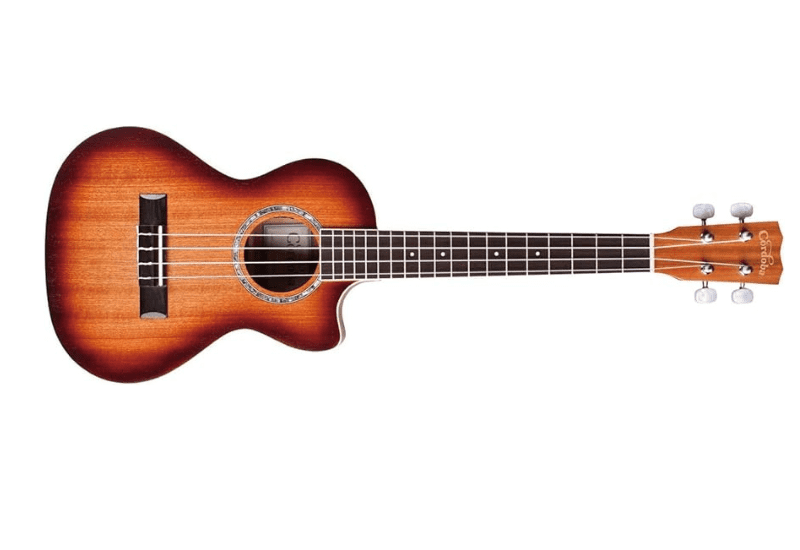Affordable Electric Ukuleles