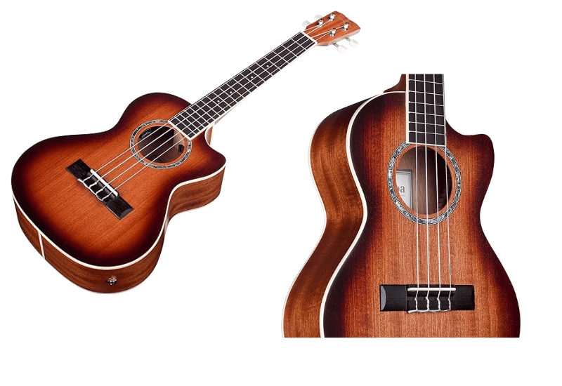 Electric Ukulele Brands